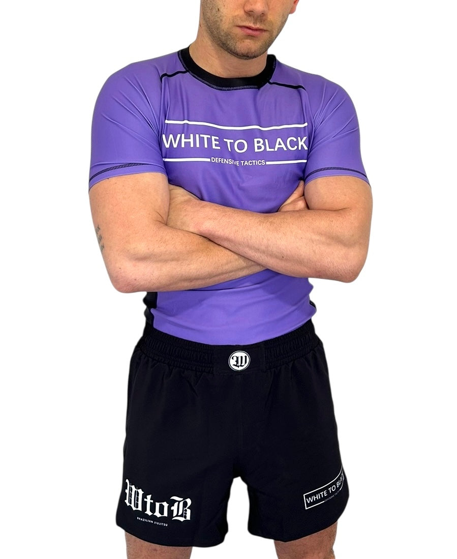 Mma bjjj sambo 